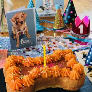Birthday Box Dog Treats in Bath