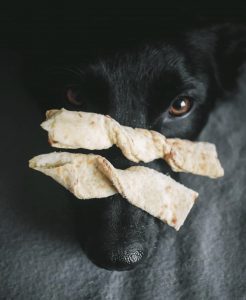 Cheesy Vegan Dog Treats