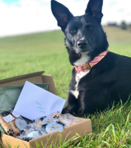 Gift Boxes for Dogs